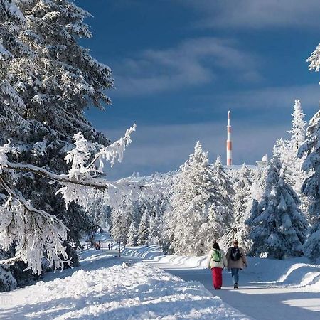 Ferienwohnung Arnika Inklusive Waeschepaket Braunlage Buitenkant foto