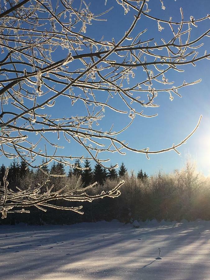 Ferienwohnung Arnika Inklusive Waeschepaket Braunlage Buitenkant foto