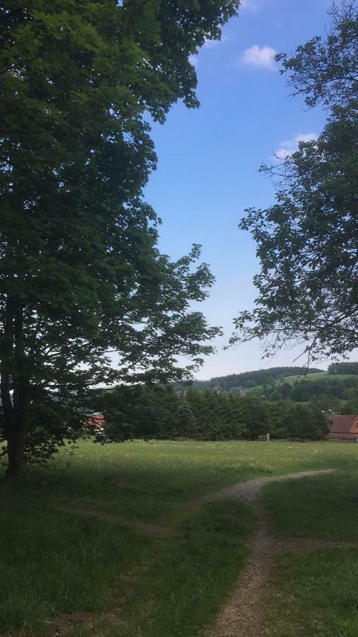 Ferienwohnung Arnika Inklusive Waeschepaket Braunlage Buitenkant foto