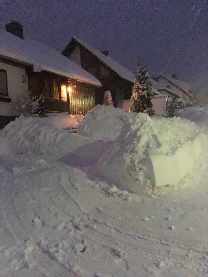 Ferienwohnung Arnika Inklusive Waeschepaket Braunlage Buitenkant foto