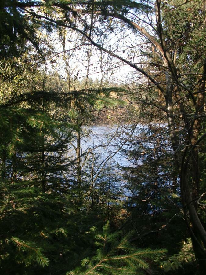Ferienwohnung Arnika Inklusive Waeschepaket Braunlage Buitenkant foto