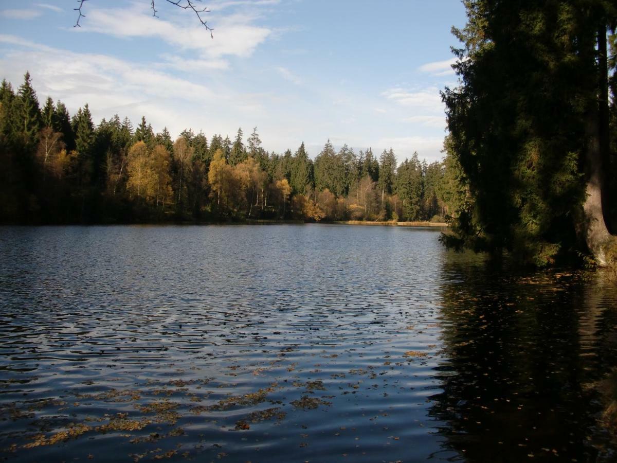 Ferienwohnung Arnika Inklusive Waeschepaket Braunlage Buitenkant foto