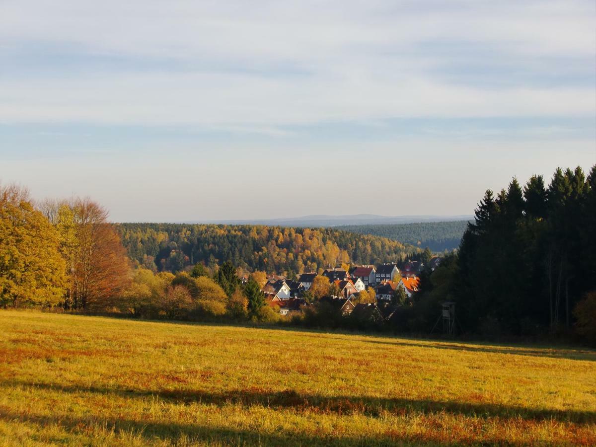 Ferienwohnung Arnika Inklusive Waeschepaket Braunlage Buitenkant foto