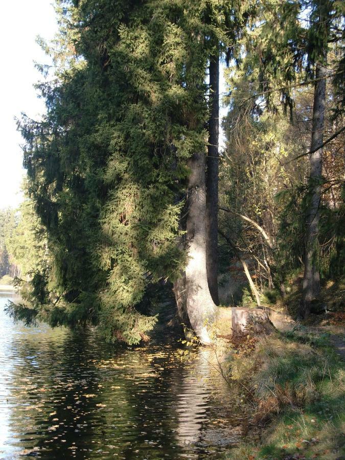 Ferienwohnung Arnika Inklusive Waeschepaket Braunlage Buitenkant foto