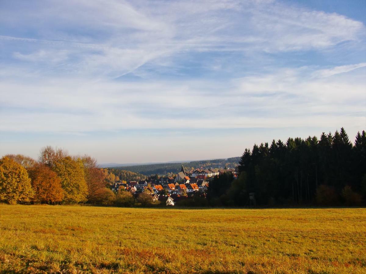 Ferienwohnung Arnika Inklusive Waeschepaket Braunlage Buitenkant foto