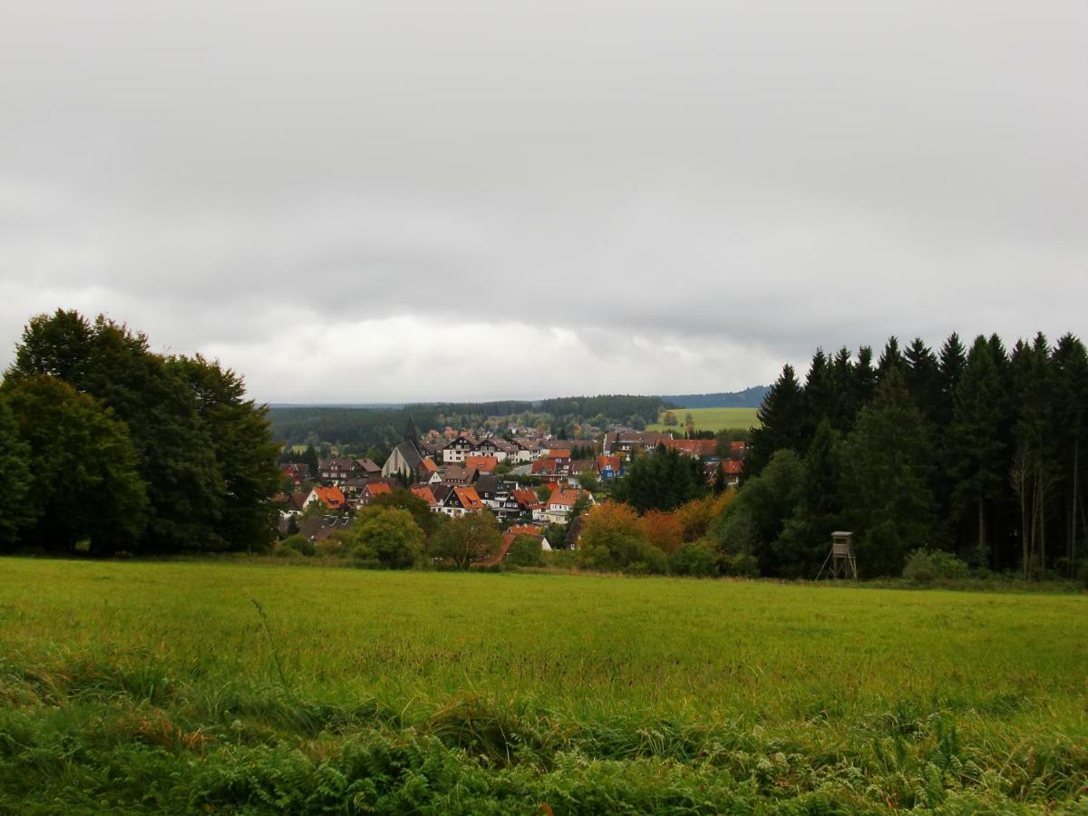 Ferienwohnung Arnika Inklusive Waeschepaket Braunlage Buitenkant foto