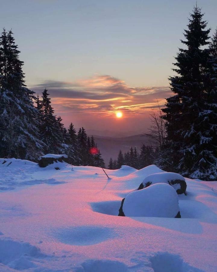 Ferienwohnung Arnika Inklusive Waeschepaket Braunlage Buitenkant foto