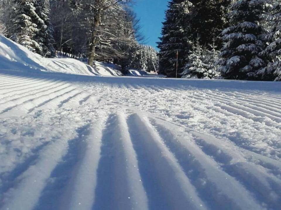 Ferienwohnung Arnika Inklusive Waeschepaket Braunlage Buitenkant foto