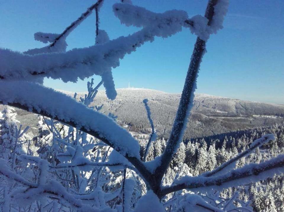 Ferienwohnung Arnika Inklusive Waeschepaket Braunlage Buitenkant foto