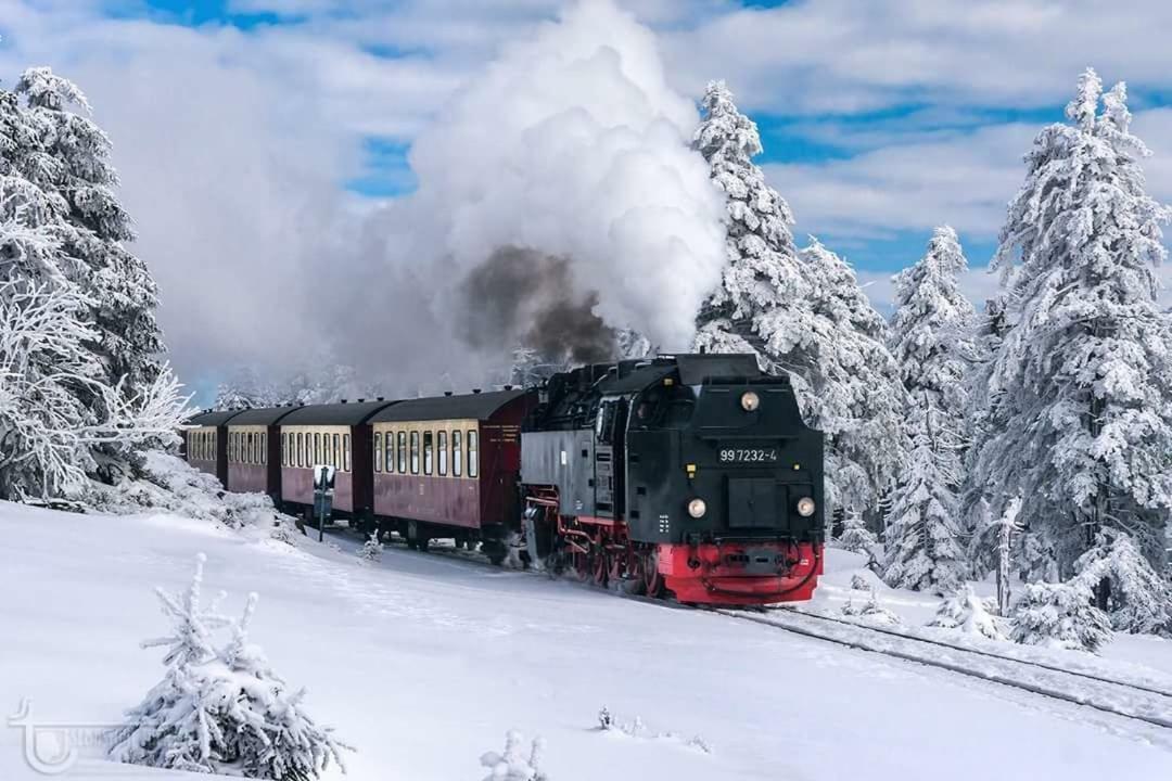 Ferienwohnung Arnika Inklusive Waeschepaket Braunlage Buitenkant foto
