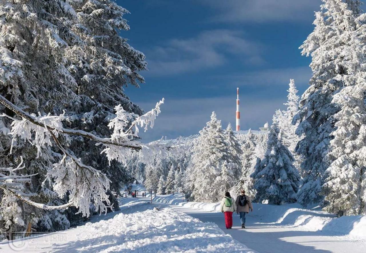 Ferienwohnung Arnika Inklusive Waeschepaket Braunlage Buitenkant foto