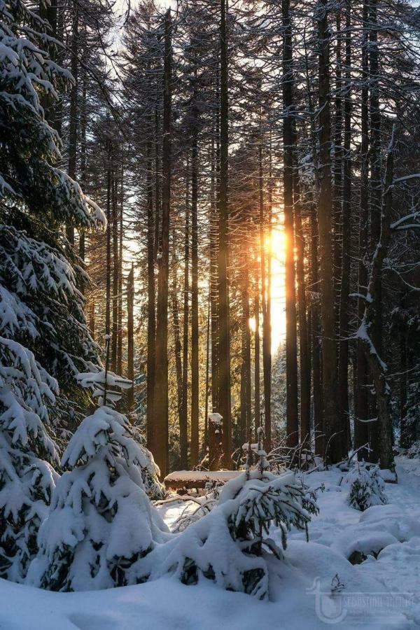 Ferienwohnung Arnika Inklusive Waeschepaket Braunlage Buitenkant foto